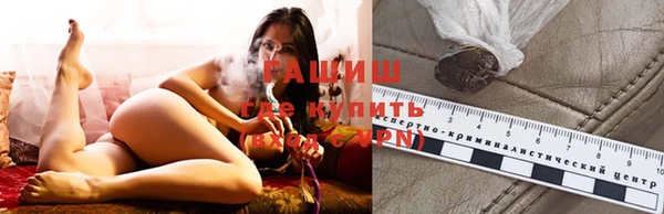 индика Медногорск