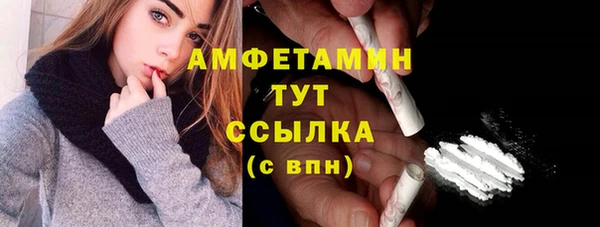 крисы Медвежьегорск