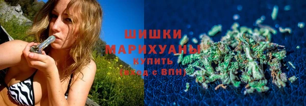 индика Медногорск