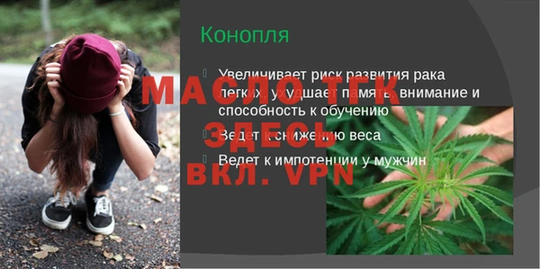 индика Медногорск