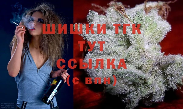 крисы Медвежьегорск