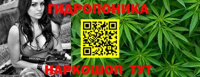 кокс Заводоуковск