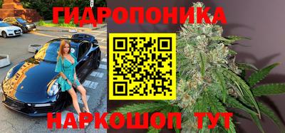 кокс Заводоуковск
