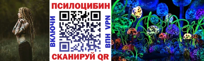 где купить наркоту  ОМГ ОМГ ONION  Псилоцибиновые грибы GOLDEN TEACHER  мориарти какой сайт  Карпинск 
