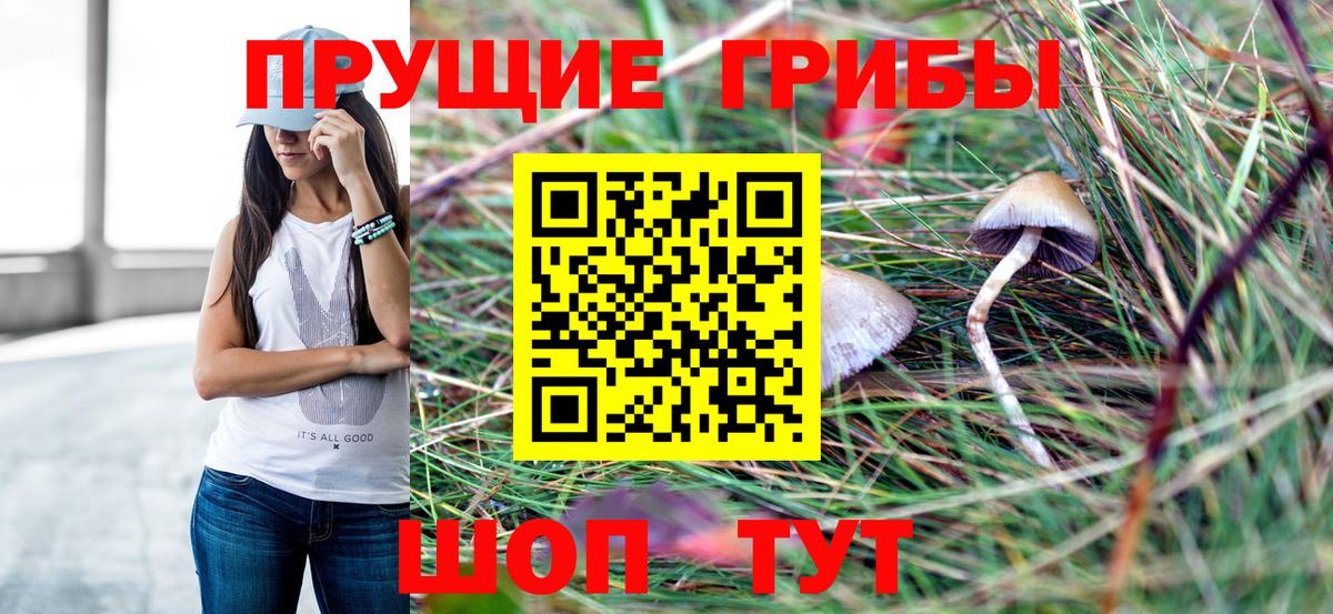 Галлюциногенные грибы Cubensis  Вход с VPN  Карпинск  Галлюциногенные грибы прущие грибы 