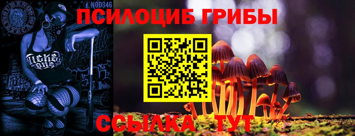 Галлюциногенные грибы прущие грибы Карпинск